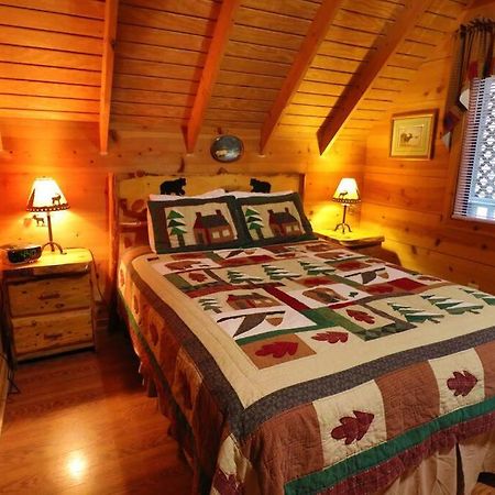 Cute Updated Mountain Cabin Fireplace #3 Helen Zewnętrze zdjęcie