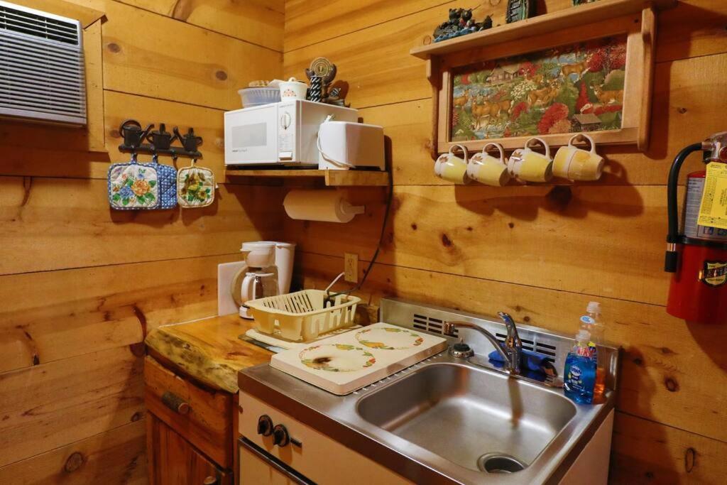 Cute Updated Mountain Cabin Fireplace #3 Helen Zewnętrze zdjęcie