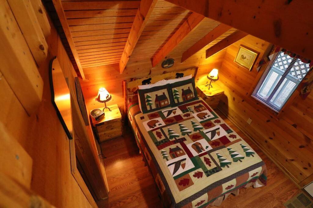 Cute Updated Mountain Cabin Fireplace #3 Helen Zewnętrze zdjęcie